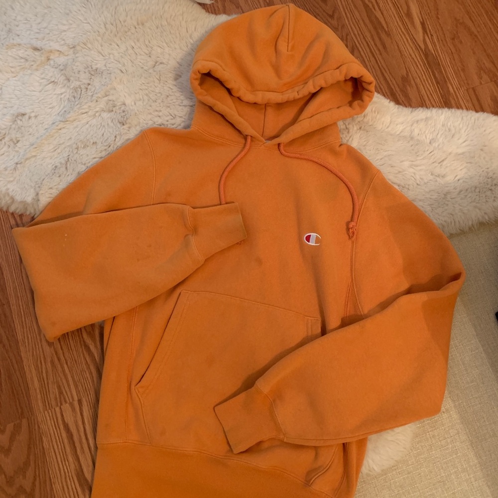 UO champion reverse weave hoodie